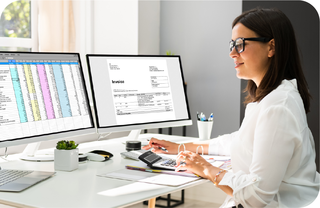 Profesional en contabilidad